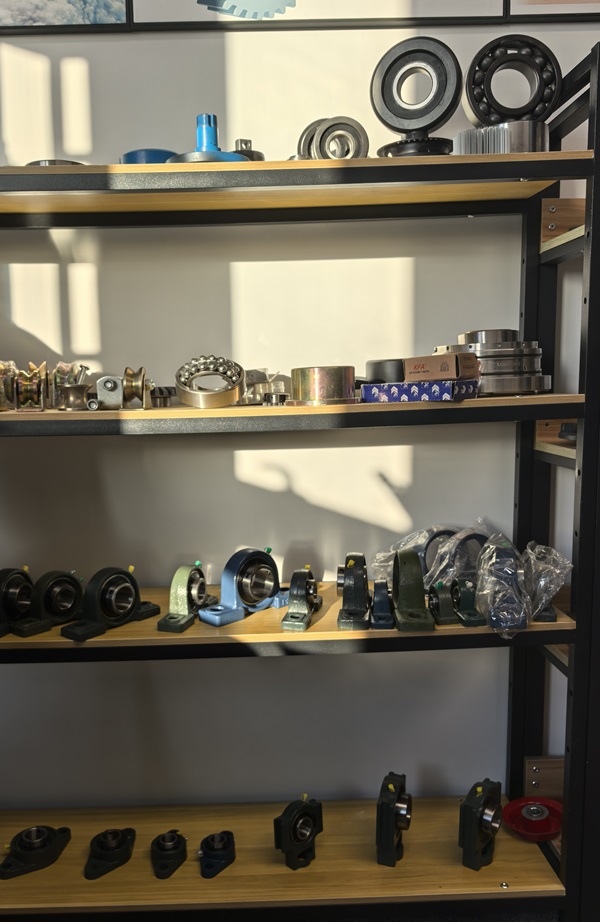 Enter Our Bearing Sample Room: A Perfect Combination of Diverse Choices and Exclusive Customization